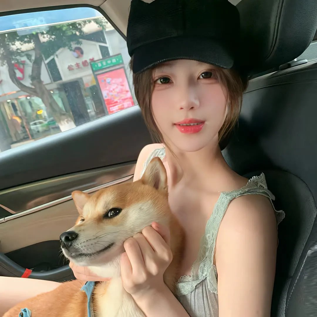 龙仁真相 海报
