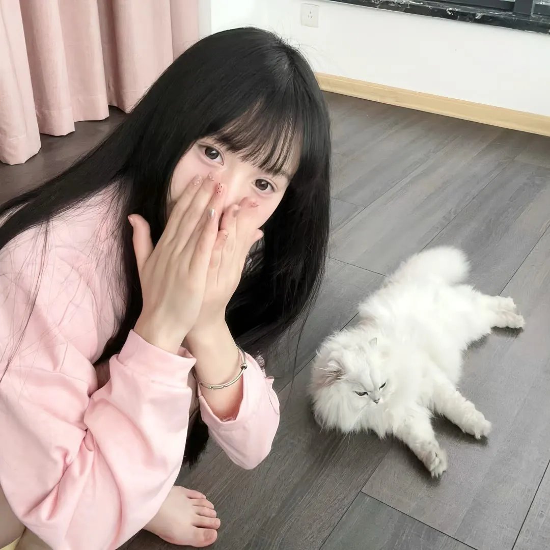 春川答案 海报